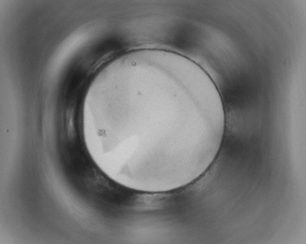 X0000110681150200906191400