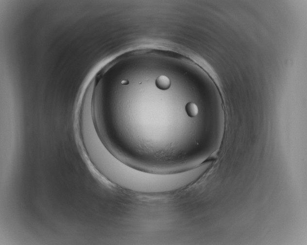 X0000110681152200906191400