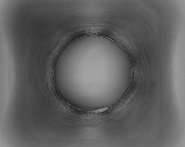 X0000110681153200906191359