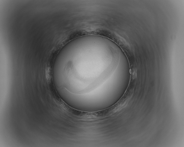 X0000110681156200906191359