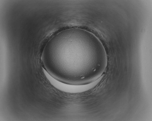 X0000110681157200906191359