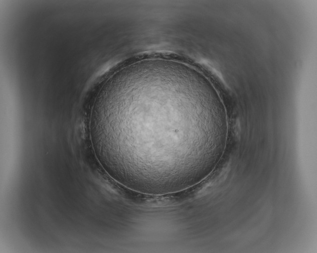 X0000110681159200906191359