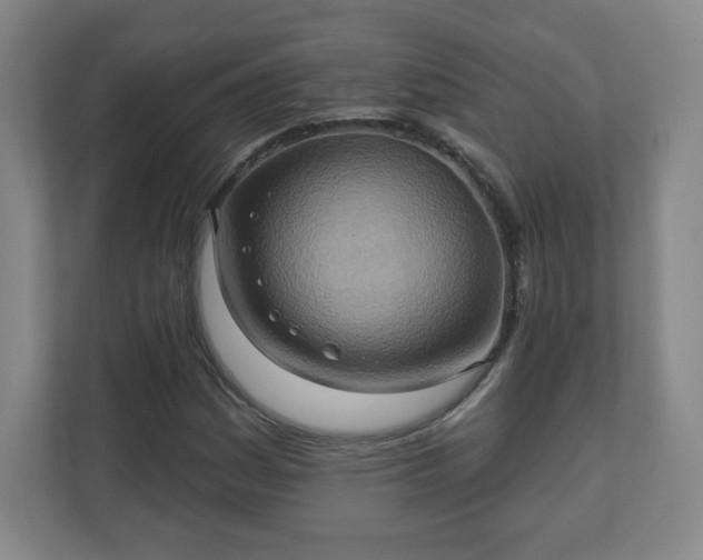 X0000110681161200906191359