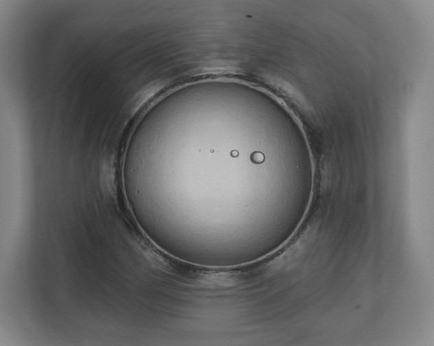 X0000110681162200906191359