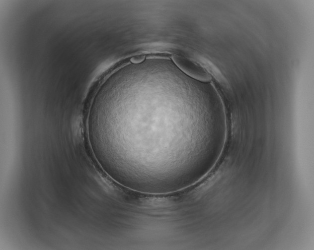 X0000110681164200906191359
