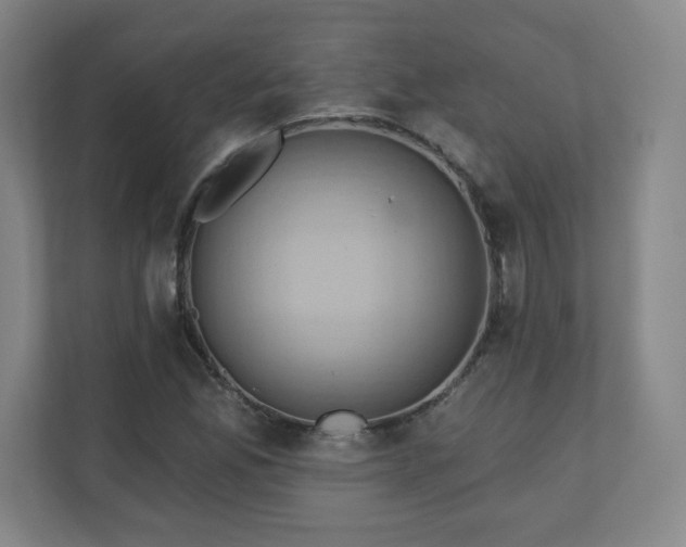 X0000110681165200906191359
