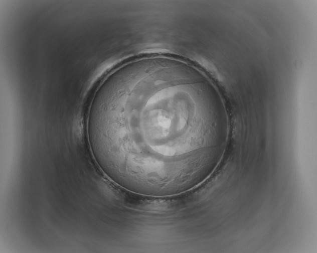 X0000110681167200906191359