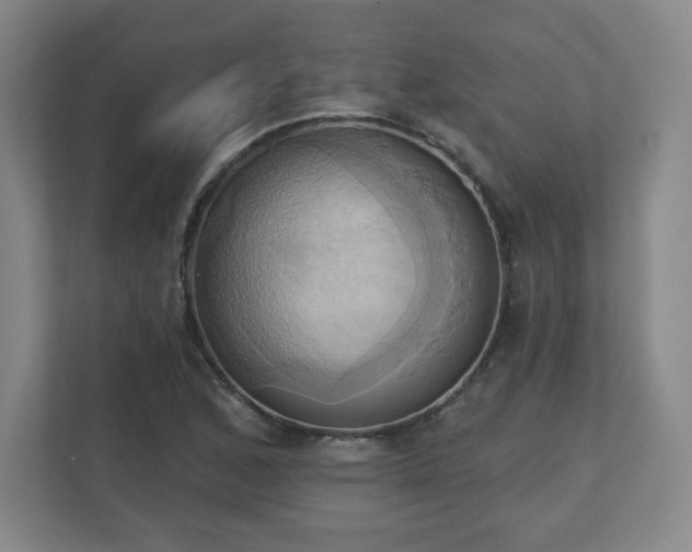 X0000110681168200906191359