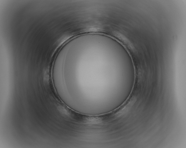 X0000110681170200906191359