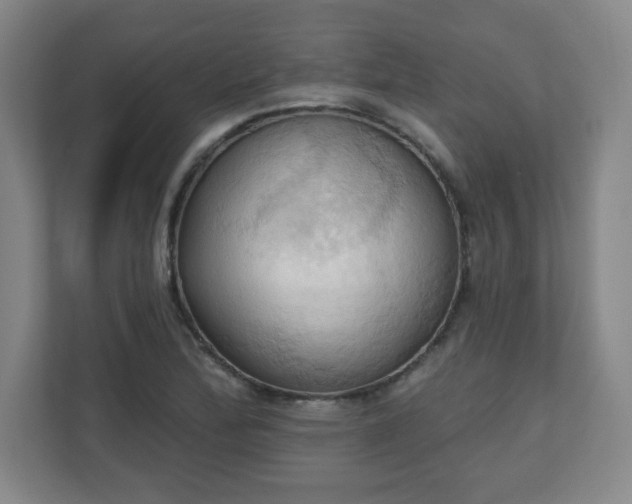 X0000110681172200906191359