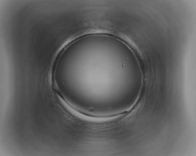 X0000110681173200906191359