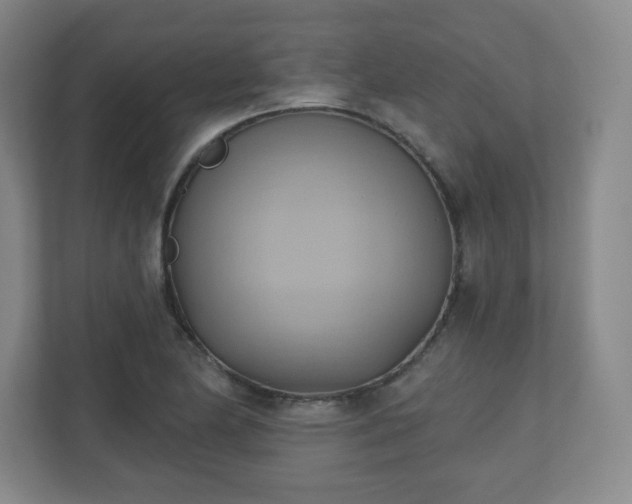X0000110681174200906191359