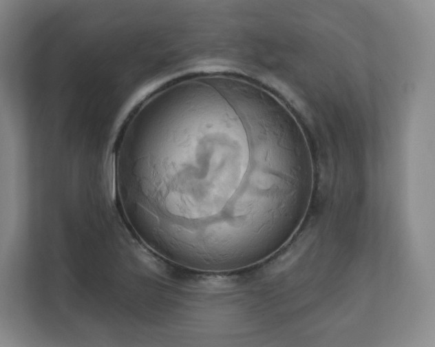 X0000110681175200906191359