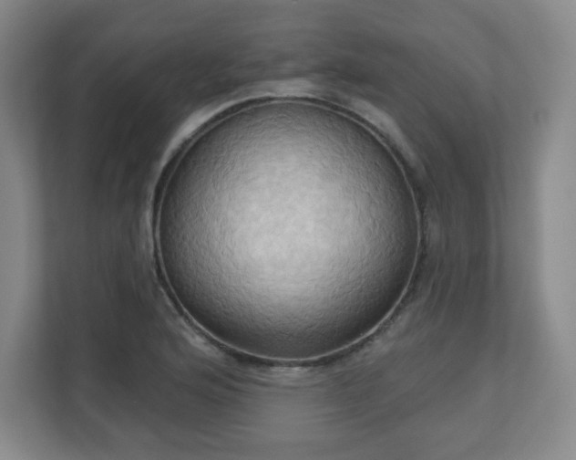 X0000110681176200906191359