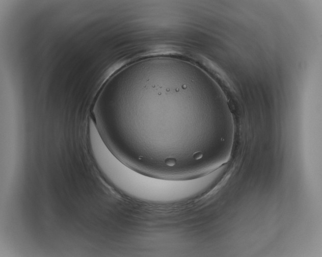 X0000110681177200906191359