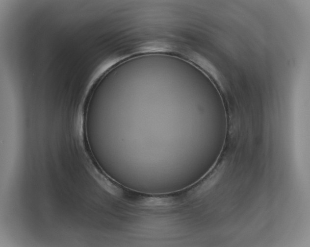 X0000110681179200906191359