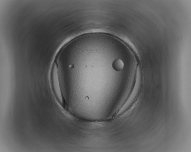 X0000110681181200906191359