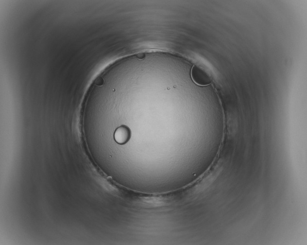 X0000110681182200906191359