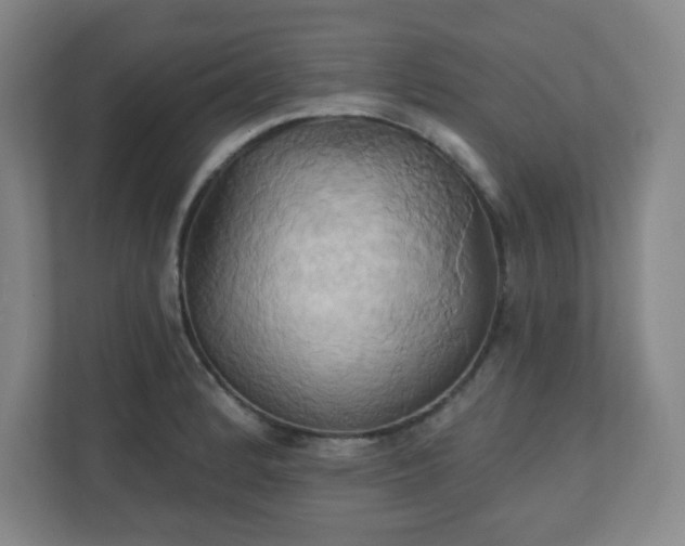 X0000110681184200906191359