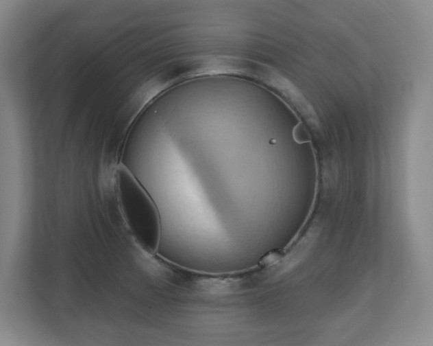 X0000110681185200906191359