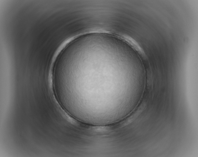 X0000110681188200906191359