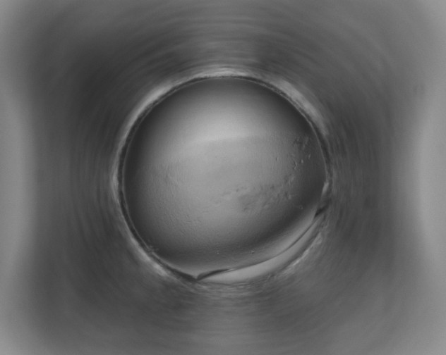 X0000110681189200906191359