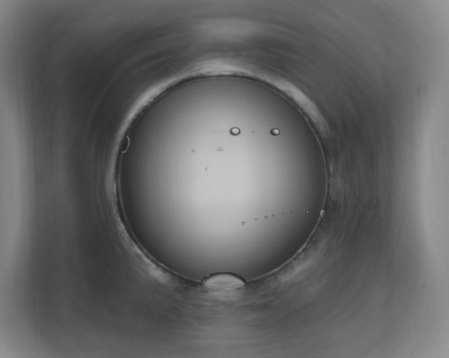 X0000110681191200906191359