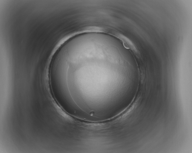 X0000110681192200906191359