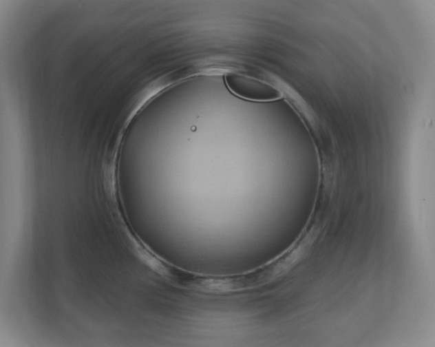 X0000110681194200906191359