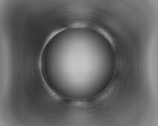 X0000110681195200906191359