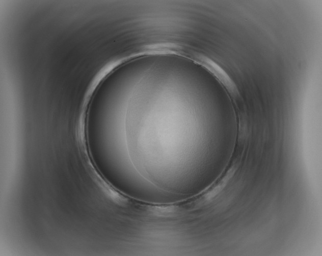 X0000110681196200906191359