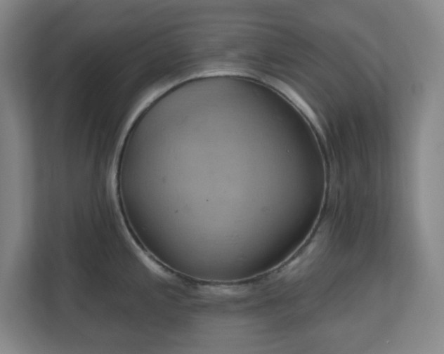 X0000110681197200906191359