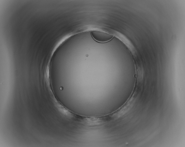 X0000110681198200906191359