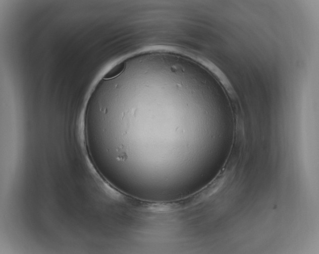 X0000110681199200906191359