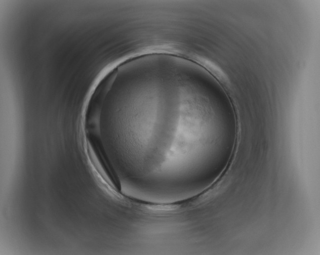 X0000110681200200906191359