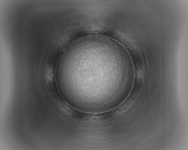 X0000110681204200906191358