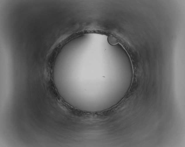 X0000110681207200906191358