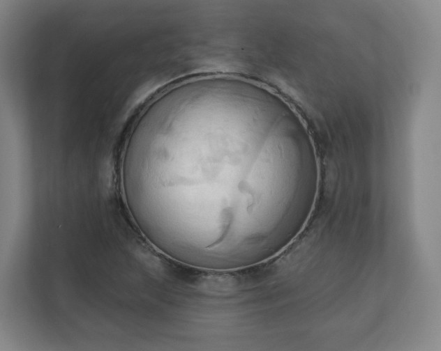 X0000110681215200906191358