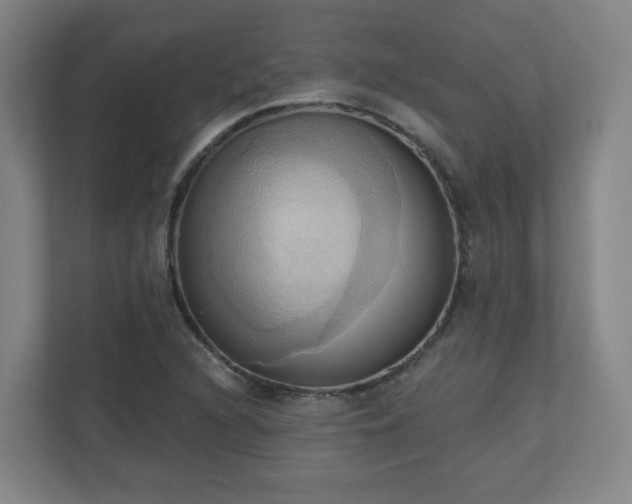 X0000110681216200906191358