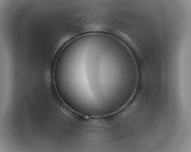 X0000110681218200906191358