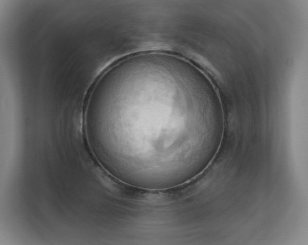 X0000110681220200906191358