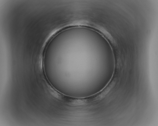 X0000110681224200906191358