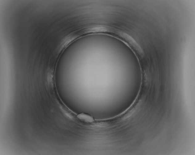 X0000110681225200906191358
