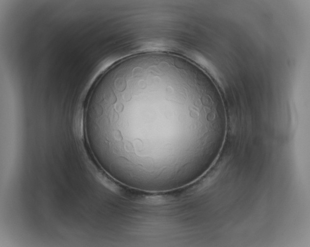 X0000110681227200906191358
