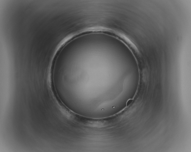 X0000110681229200906191358