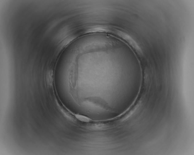 X0000110681233200906191358
