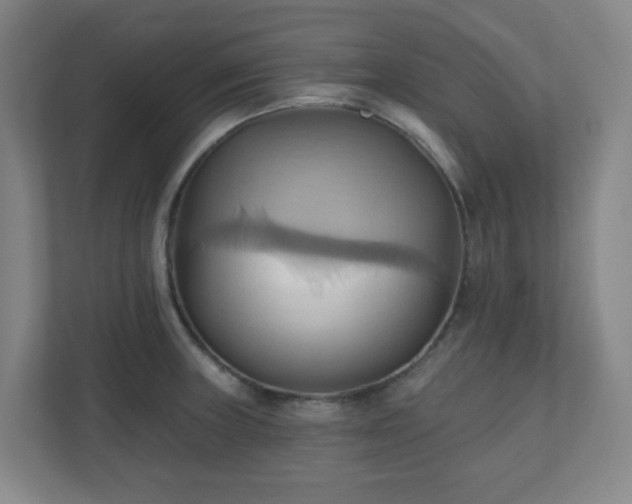 X0000110681235200906191358