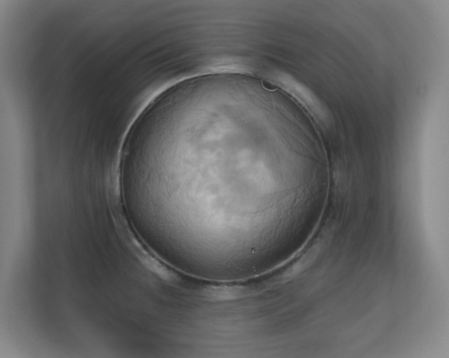 X0000110681236200906191358