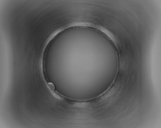 X0000110681237200906191358