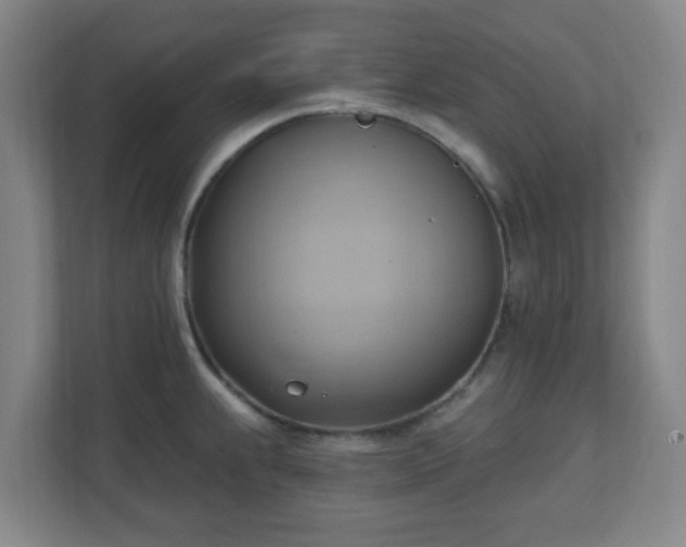 X0000110681239200906191358